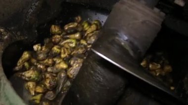 Bitkinin ekipmanında şeker pancarı yıkama süreci