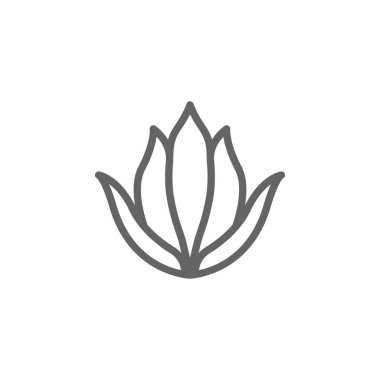 aloe vera anahat simgesi. Güzellik ve Kozmetik illüstrasyon simgesi Elemanları. İşaretler ve semboller web, logo, mobil uygulama, Ui, Ux için kullanılabilir