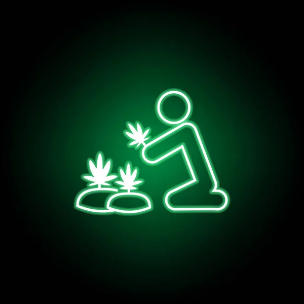 Man het verzamelen van marihuana overzicht pictogram in neon stijl. Kan worden gebruikt voor web, logo, mobiele app, ui, UX — Stockvector