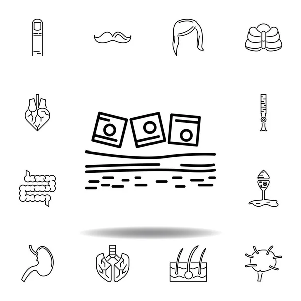 Zestaw ludzkich narządów błon śluzowych ikona zarys. Znaki i symbole mogą być używane do Internetu, logo, aplikacji mobilnej, UI, UX — Wektor stockowy