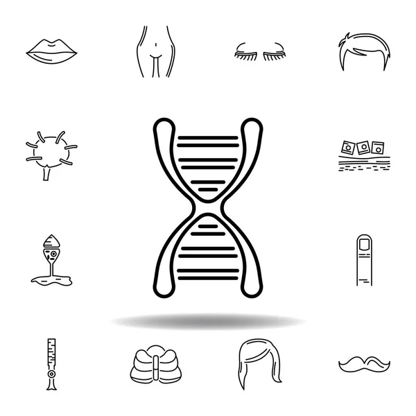 Set manusia organ dna urutan garis besar ikon. Tanda dan simbol dapat digunakan untuk web, logo, aplikasi mobile, UI, UX - Stok Vektor