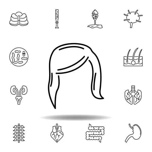 Conjunto de órganos humanos icono del contorno del cabello femenino. Los signos y símbolos se pueden utilizar para la web, logotipo, aplicación móvil, interfaz de usuario, UX — Vector de stock