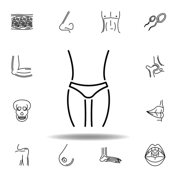 Conjunto de órganos humanos icono contorno del abdomen. Los signos y símbolos se pueden utilizar para la web, logotipo, aplicación móvil, interfaz de usuario, UX — Vector de stock