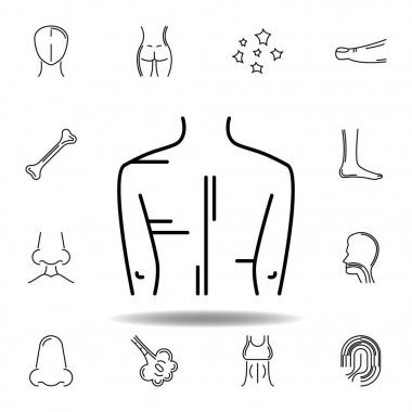 insan organları erkek kümesi arka anahat simgesi. İşaretler ve semboller web, logo, mobil uygulama, Ui, Ux için kullanılabilir