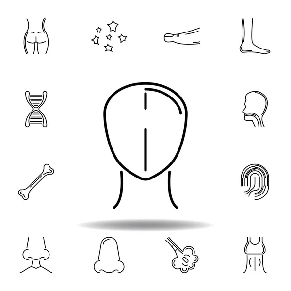 Conjunto de órganos humanos icono contorno de la cabeza. Los signos y símbolos se pueden utilizar para la web, logotipo, aplicación móvil, interfaz de usuario, UX — Vector de stock