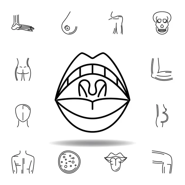 Conjunto de órganos humanos icono de contorno de amígdalas. Los signos y símbolos se pueden utilizar para la web, logotipo, aplicación móvil, interfaz de usuario, UX — Vector de stock