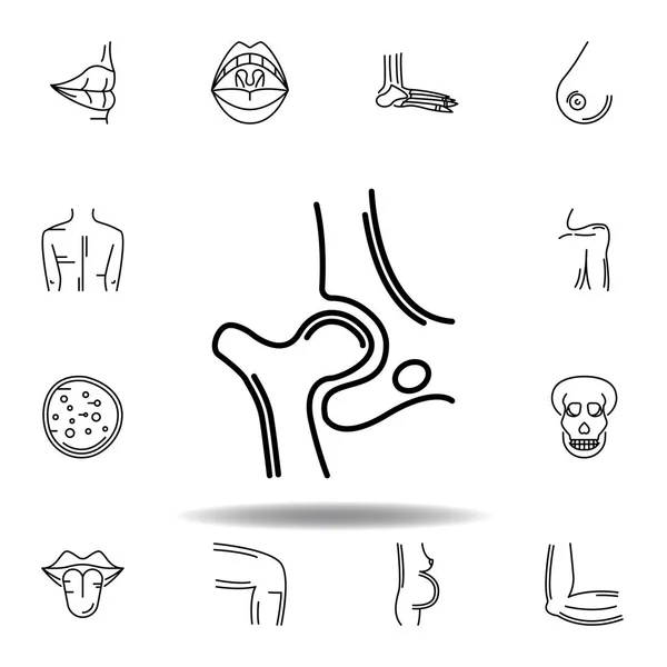 Conjunto de órganos humanos icono del contorno del hueso de la cadera. Los signos y símbolos se pueden utilizar para la web, logotipo, aplicación móvil, interfaz de usuario, UX — Vector de stock