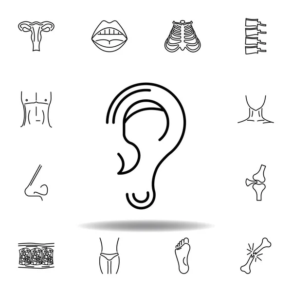 Set of human organs ear outline icon. Signs and symbols can be used for web, logo, mobile app, UI, UX — Stock Illustration Set of human organs ear outline icon. Signs and symbols can be used for web, logo, mobile app, UI, UX Stock Illustration