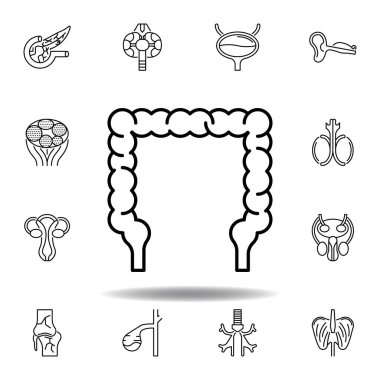 insan organları bağırsak anahat simgesi kümesi. İşaretler ve semboller web, logo, mobil uygulama, Ui, Ux için kullanılabilir