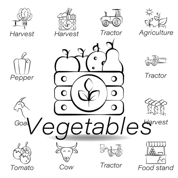 Gemüse Hand zeichnen Symbol. Element der landwirtschaftlichen Illustrationssymbole. Zeichen und Symbole können für Web, Logo, mobile App, ui, ux verwendet werden — Stockvektor