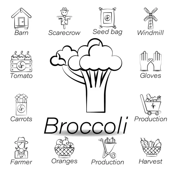 Brokkoli Hand zeichnen Symbol. Element der landwirtschaftlichen Illustrationssymbole. Zeichen und Symbole können für Web, Logo, mobile App, ui, ux verwendet werden — Stockvektor