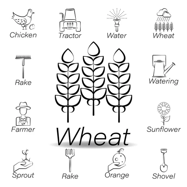 Ikon Glutenストックベクター ロイヤリティフリーikon Glutenイラスト ページ 107 Depositphotos