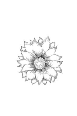 çiçekler, papatya hattı beyaz arka plan üzerinde simge genişletmek