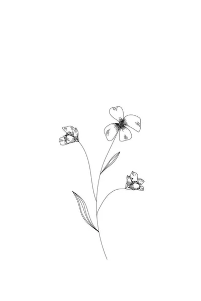 Цветы, луг цветочная линия расширить значок на белом фоне — стоковый вектор