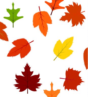 çok renkli, sonbahar, arkaplan, yapraklar beyaz arkaplanda simgeyi genişletir