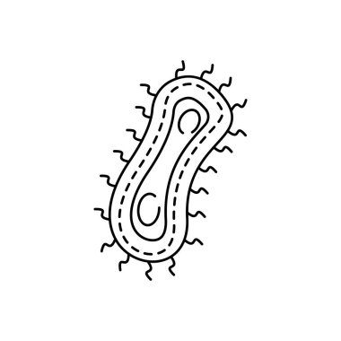 Beyaz arkaplanda coccus, bakteri ve eğitim çizgisi simgesi