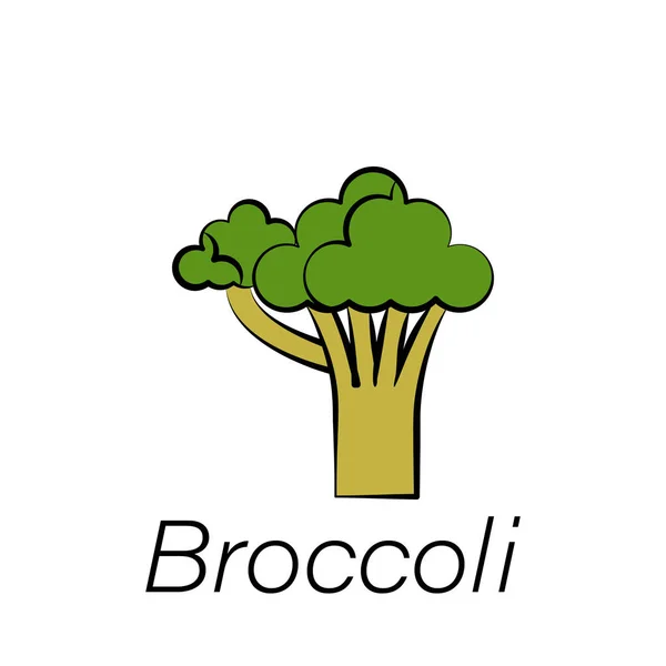 Broccoli Hand Draw Icon Element Farming Illustration Icons Signs Symbols — Stock Vector