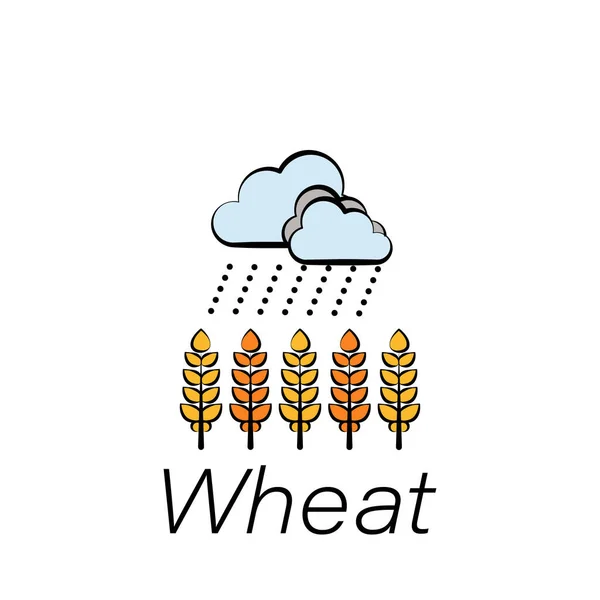 Weizen Hand Zeichnen Symbol Element Der Landwirtschaftlichen Illustrationssymbole Zeichen Und — Stockvektor