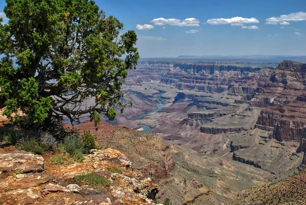 Vista Panorâmica Grande Cânion Rio Colorado Arizona Eua — Fotografia de Stock