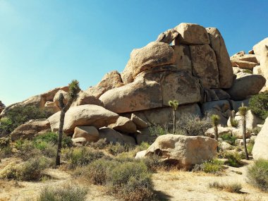 joshua tree national park, Amerika kum taşları