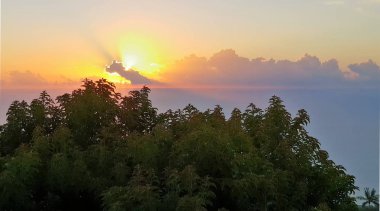 la reunion Adası ön planda ağaçlarla on Sunset