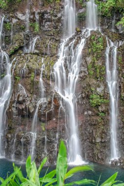 şelale üzerinde orman mauritius Adası ile göster