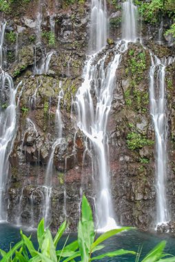 şelale üzerinde orman mauritius Adası ile göster