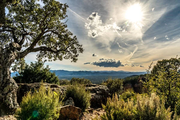 Roquebrune emin AGENS vadisinde görünümü, Cote d 'azur, Fransa