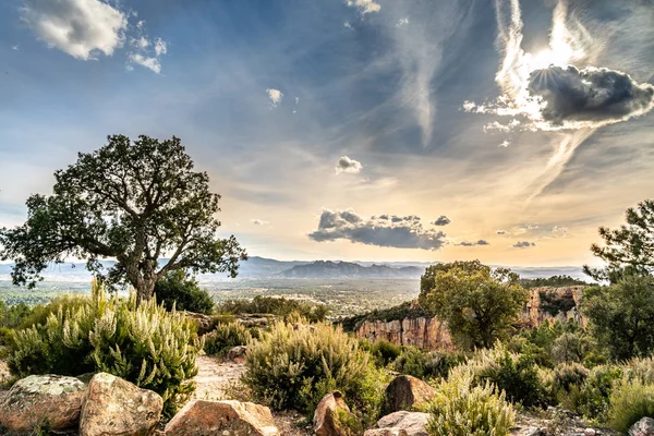 Roquebrune emin AGENS vadisinde görünümü, Cote d 'azur, Fransa