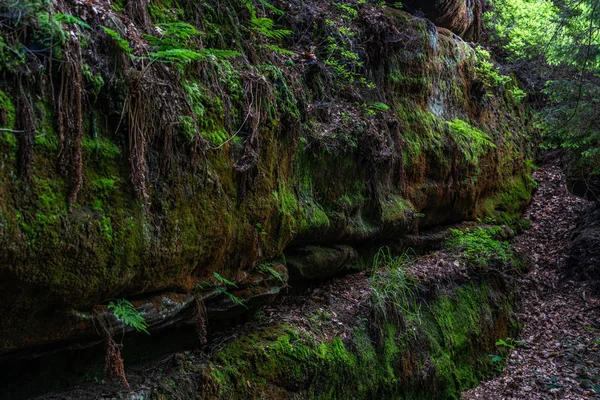 Pískovcové hradby v Saském Švýcarsku, Německo — Stock fotografie