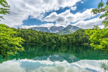 alpsee near fuessen, bavaria, germany