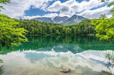 alpsee near fuessen, bavaria, germany