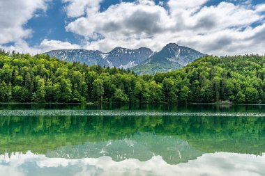 alpsee near fuessen, bavaria, germany