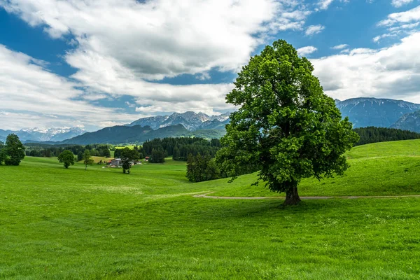 Alpes paisagem panorama baviera, alemanha — Fotografia de Stock