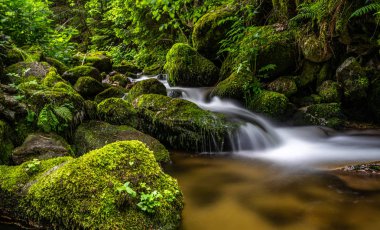 kara ormanda küçük şelale, Almanya