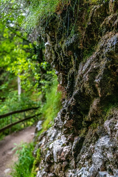 Gocce d'acqua a cascata Allerheiligen nella foresta nera , — Foto Stock