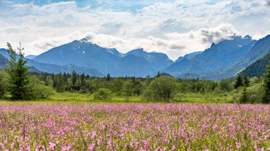 ettaler weidmoos in ammergauer alps, germany