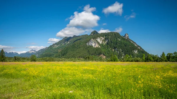 Ettaler weidmoos em ammergauer alpes, alemanha — Fotografia de Stock