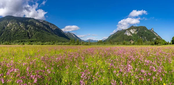 Ettaler weidmoos in ammergauer alps, germany — Stockfoto