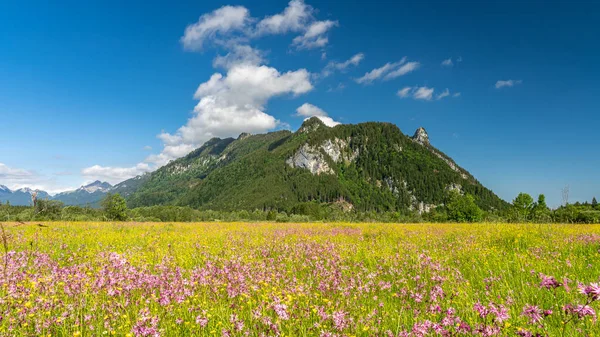 Ettaler weidmoos in ammergauer alps, germany — Zdjęcie stockowe