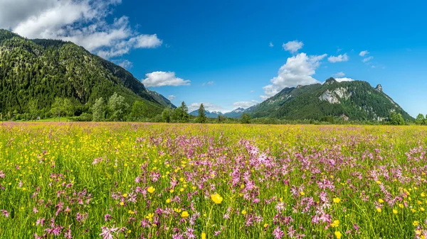 Ettaler weidmoos in ammergauer alps, germany — Zdjęcie stockowe