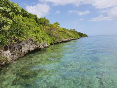 ile aux aigrettes on mauritius