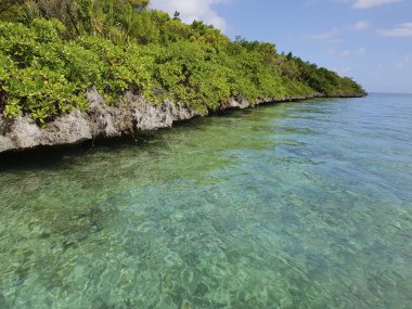 ile aux aigrettes on mauritius