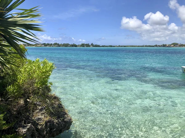 Ile aux aigrettes on mauritius — ストック写真