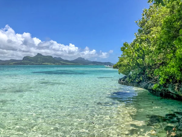 Ile aux aigrettes on mauritius — 스톡 사진