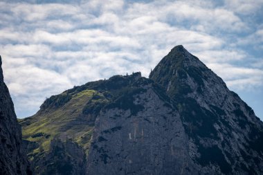 Wetterstein dağlarının manzarası ve yazın bir çayır, bavyera, Almanya