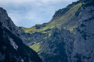 Wetterstein dağlarının manzarası ve yazın bir çayır, bavyera, Almanya