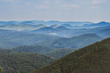 Pfaelzer wald ağaç tepelerinin güzel manzarası, rheinland-pfalz, Almanya