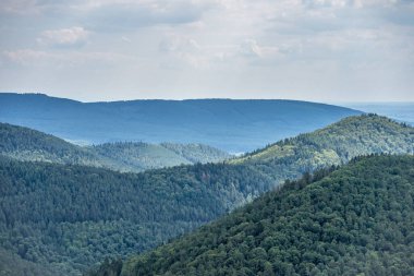 Pfaelzer wald ağaç tepelerinin güzel manzarası, rheinland-pfalz, Almanya
