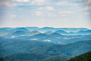 Pfaelzer wald ağaç tepelerinin güzel manzarası, rheinland-pfalz, Almanya